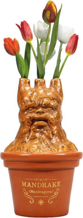 Harry Potter - Mandrake Vase - 20 Cm Harry Potter - Mandrake Vase - 20 Cm
